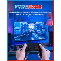 PC/Switch 連射 コントローラー ジャイロセンサー 新生活 プレゼント　送料無料