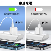 Type-C 急速充電器 iphone 30W スマホ 充電器 100-240V 海外対応 iPad Airpods iPhone PSE認証済み