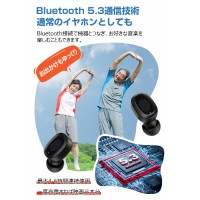 【100時間使用可能】 集音器 ワイヤレス イヤホン型 集音機 Bluetooth USB充電式 リモコン付き 小型　