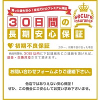 iPad ケース ペン 収納  極薄軽量  おしゃれ 保護ケース| LivelyLife