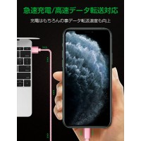 高耐久コネクタ/アルミ合金製のiPhone充電ケーブル(iPhone14にも対応) テレワーク 送料無料