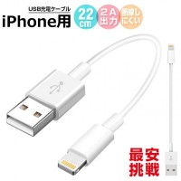 【2本セット】短いiPhone充電ケーブル：22cm　送料無料