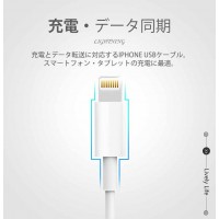 【2本セット】短いiPhone充電ケーブル：22cm　送料無料