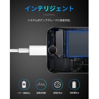 【2本セット】短いiPhone充電ケーブル：22cm　送料無料