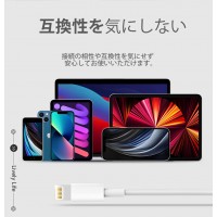 【2本セット】短いiPhone充電ケーブル：22cm　送料無料