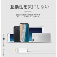【2本セット】短いiPhone充電ケーブル：22cm　送料無料