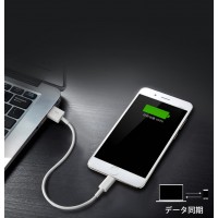 【2本セット】短いiPhone充電ケーブル：22cm　送料無料