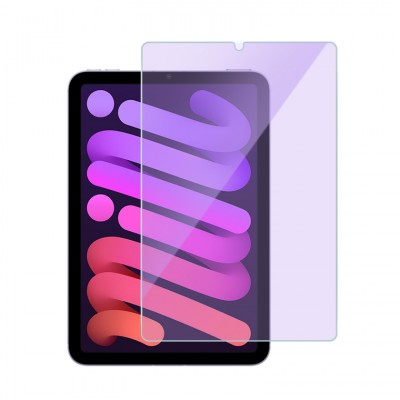 iPad フィルム (1)