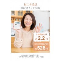 電気毛布 掛け敷き兼用 単人 省エネ 洗濯可能 防寒対策