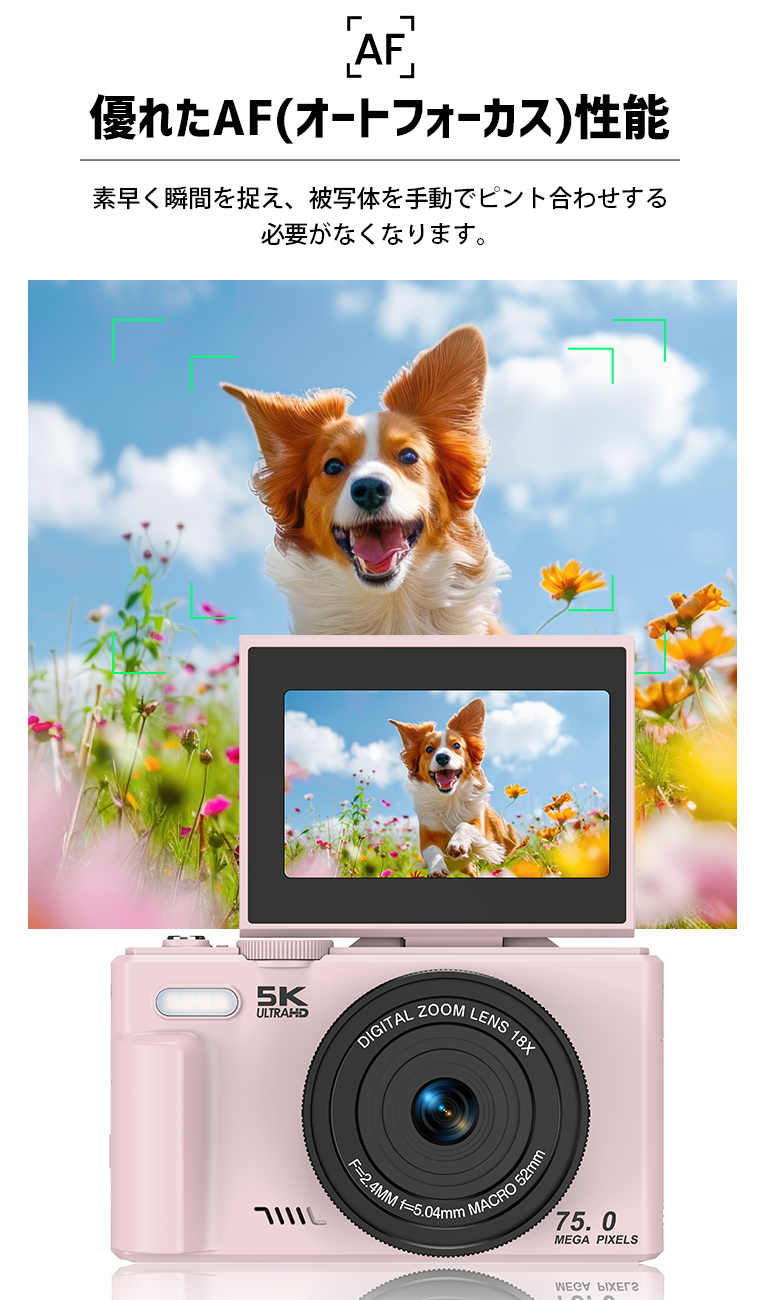 送料無料NintendoSwitchマリオゴルフ用のゴルフロッド